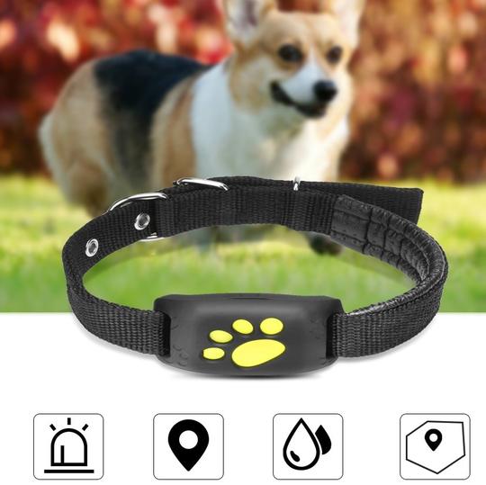 Smart GPS Dog Collar – Waterproof Pet Tracker & Training Device