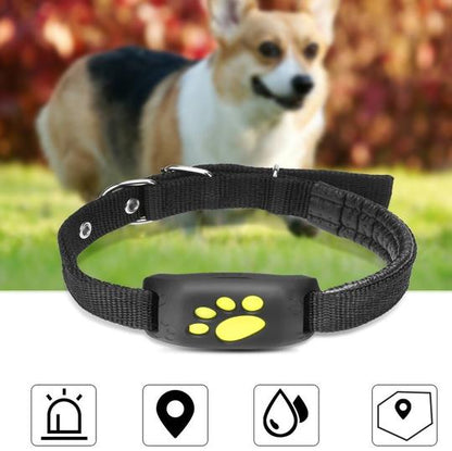 Smart GPS Dog Collar – Waterproof Pet Tracker & Training Device