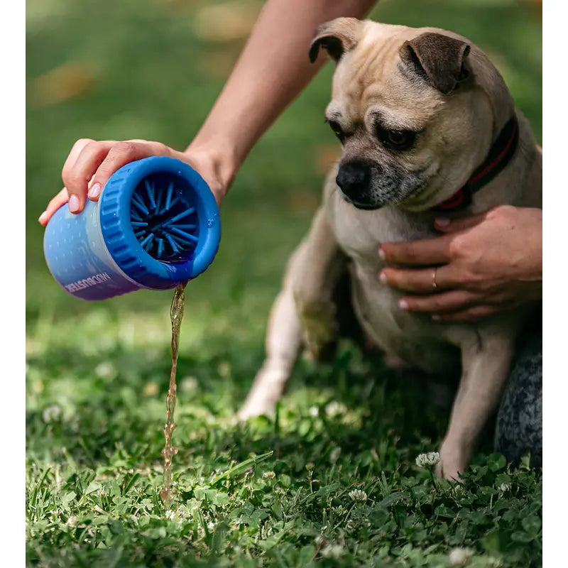 Dog being fed from a blue and purple pet water bottle on grass